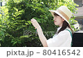 修剪花園樹木的家庭主婦 80416542
