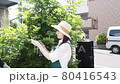 修剪花園樹木的家庭主婦 80416543