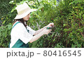 修剪花園樹木的家庭主婦 80416545