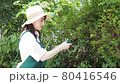 修剪花園樹木的家庭主婦 80416546