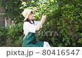 修剪花園樹木的家庭主婦 80416547