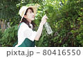 修剪花園樹木的家庭主婦 80416550