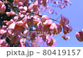 spring 80419157
