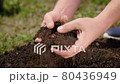 Close-up farmer takes fertile soil rich in chernozem and peat with his hands, kneads ground with his hands, enjoying good quality of fertile land for planting plants. 80436949