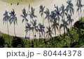希爾頓潟湖 80444378