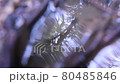 abstract 80485846