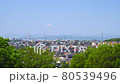 Residential area from a hill and fresh green trees 80539496