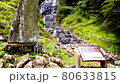 静岡県伊豆市 旭滝 80633815