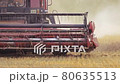 Combine harvester in the field. Close-up of a reel. Harvesting season. 80635513