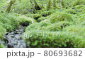 A small river with spring water on a mountain trail 80693682