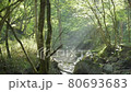 Natsuyama river where light shines 80693683