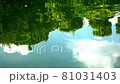 水面反射的綠色景觀，水鏡_1 81031403