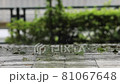 rain  81067648
