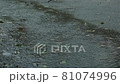 rain  81074996