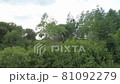 Forest scenery motion view from window of car while driving. Trip by bush and tree. Beautiful nature transport travel for road, railway. Drive landscape of field road with day forest. 81092279