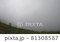 mountain slope in dense fog, grass and cloudy empty space background, day 81308587