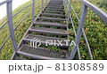 hiking, mountain trail. Walking up the stairs on the slope 81308589