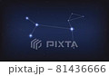 Canis major constellation 81436666