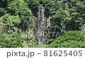 盛夏のアイヨシの滝－国道252号展望地から　福島県只見町 81625405
