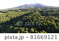 森の上空から山を望む 81669121