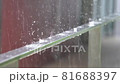雨の波紋　スーパースロー 81688397