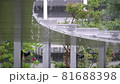 雨の波紋　スーパースロー 81688398