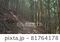 登山道を歩く 81764178