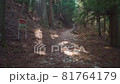 登山道を歩く 81764179