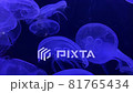 Group jellyfish floating darkness blue light background 81765434