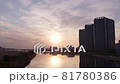 朝日が昇る多摩川と川に映り込む太陽　渡り鳥が飛んでいる 81780386