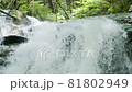滝 81802949