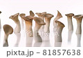 在白色背景上打開轉盤的清潔 Eringi 81857638