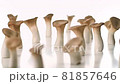 在白色背景上打開轉盤的清潔 Eringi 81857646