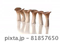 在白色背景上打開轉盤的清潔 Eringi 81857650