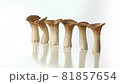 在白色背景上打開轉盤的清潔 Eringi 81857654