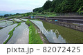 用無人機鳥瞰水稻梯田 82072425