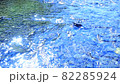 川面できらめく秋の陽光 82285924