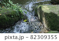 Natural clean water flow 82309355