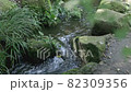 Natural clean water flow 82309356