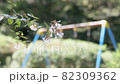 No one else's park swings 82309362