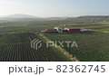 New vineyard in spring against the backdrop of mountains in Georgia, aerial fast movement 82362745