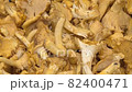 Chanterelle mushrooms, many mushrooms collected in the forest 82400471