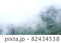 Cloudy mountains, rainforest landscape,Green forest in the fog 82434538