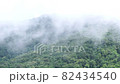 Cloudy mountains, rainforest landscape,Green forest in the fog 82434540