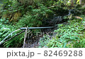 Flow of mountain water 82469288
