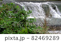 Scenery around the autumn waterfall 82469289