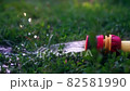 garden watering hose lies in the grass. Close-up 82581990