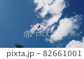 黑色的風箏在蔚藍的天空中飛來飛去 82661001