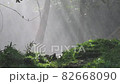 woman walking in forest with raining 82668090
