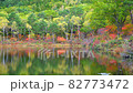 志賀高原の秋 82773472
